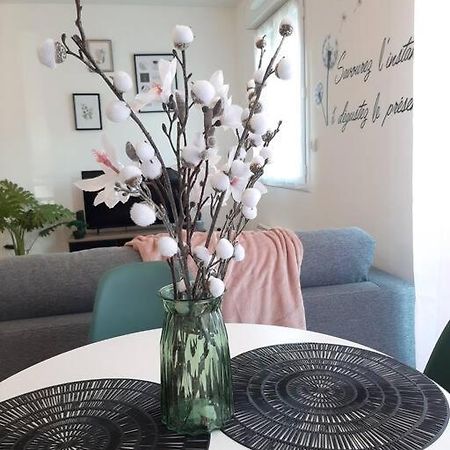 Proche Aeroport A Pied, Le Reve Rose. Apartment Tille Ngoại thất bức ảnh