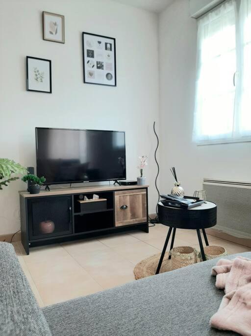 Proche Aeroport A Pied, Le Reve Rose. Apartment Tille Ngoại thất bức ảnh